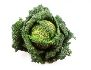 Cooking green cabbage, cook green cabbage, cooking time green cabbage, green cabbage