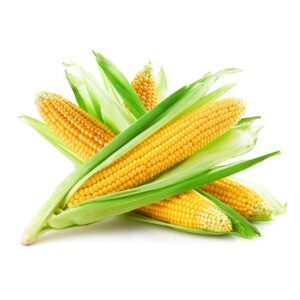 Cooking corn, Cook corn, Cooking time corn