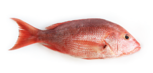 cooking red snapper